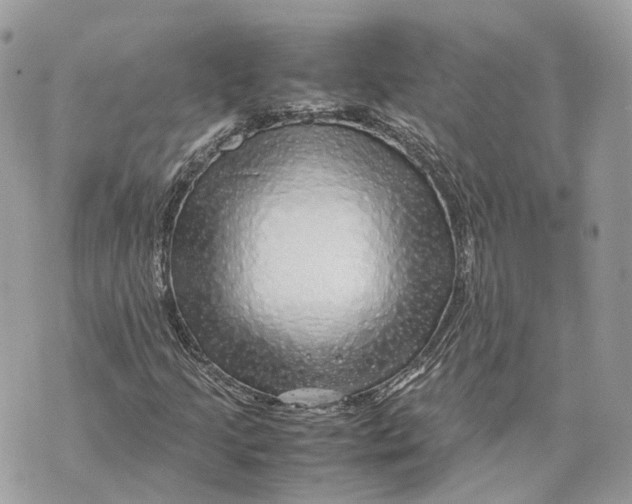 X0000070211205200606161633