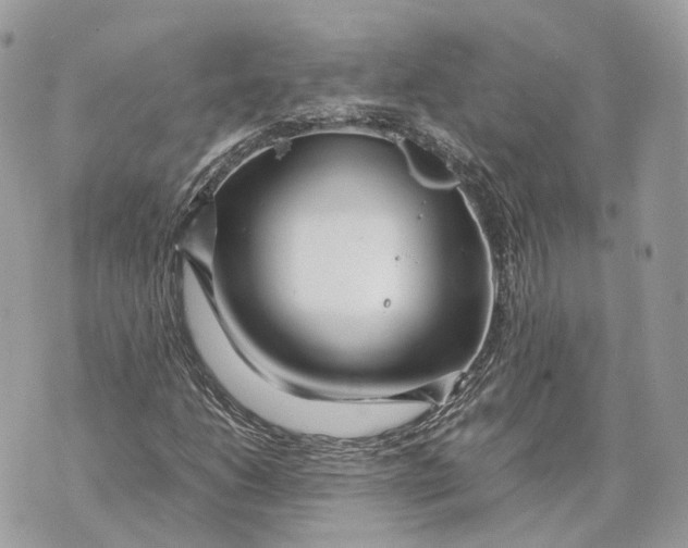 X0000070211206200606161633