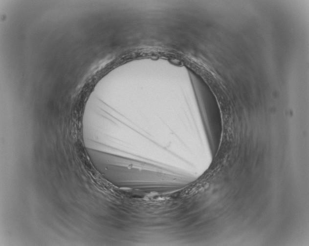 X0000070211207200606161633