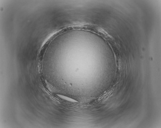 X0000070211208200606161633