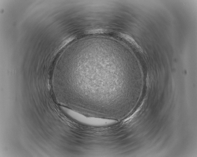 X0000070211209200606161633