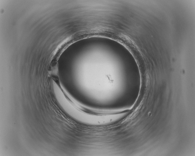 X0000070211210200606161633