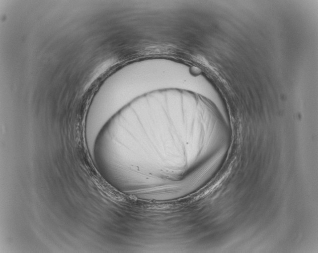 X0000070211211200606161633