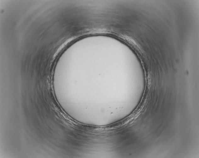 X0000070211212200606161633