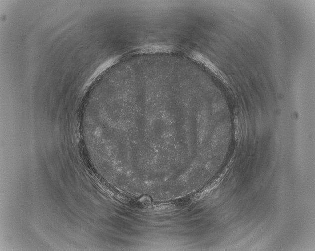 X0000070211213200606161633