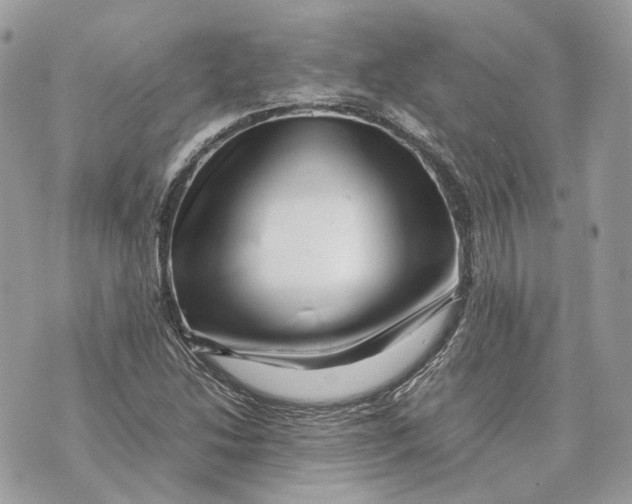 X0000070211214200606161633