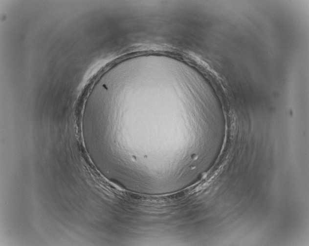 X0000070211215200606161633