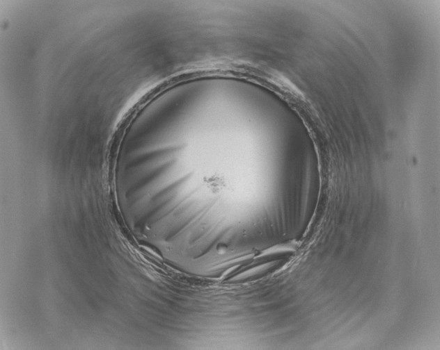 X0000070211216200606161633