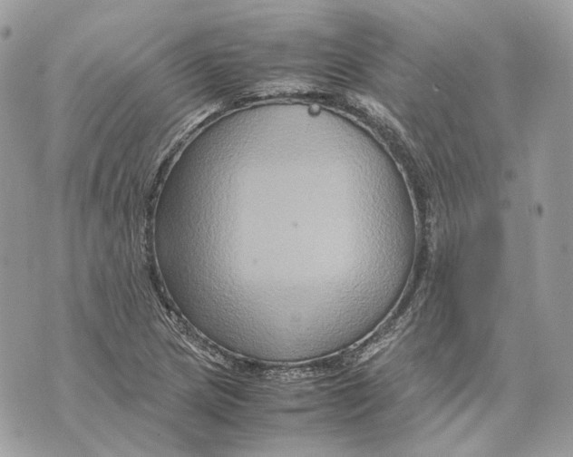 X0000070211217200606161633