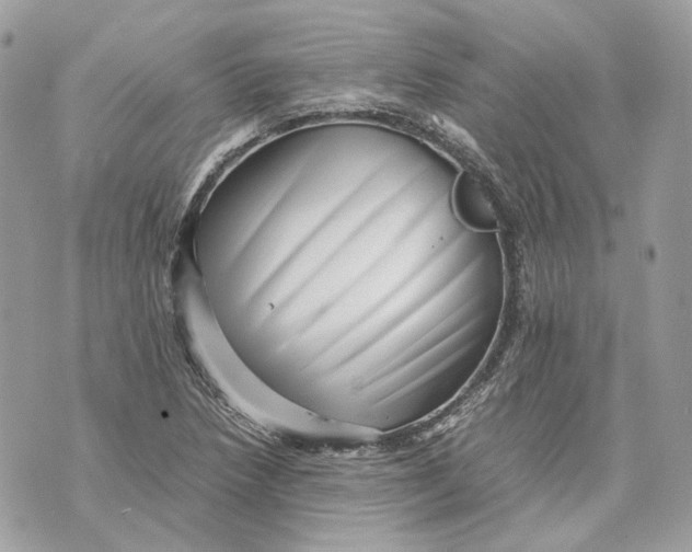 X0000070211218200606161633