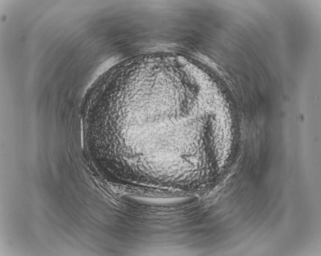 X0000070211219200606161633