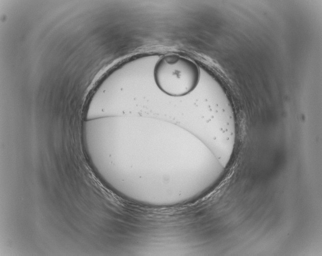 X0000070211220200606161633