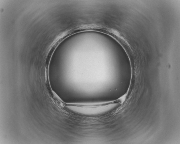 X0000070211221200606161633