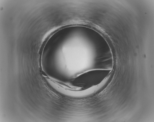 X0000070211222200606161633