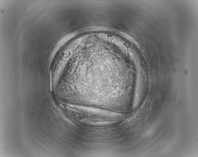 X0000070211223200606161633