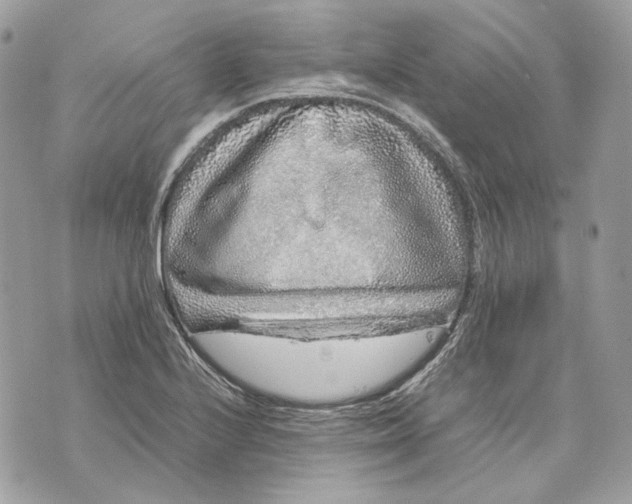 X0000070211224200606161633