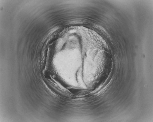 X0000070211225200606161633