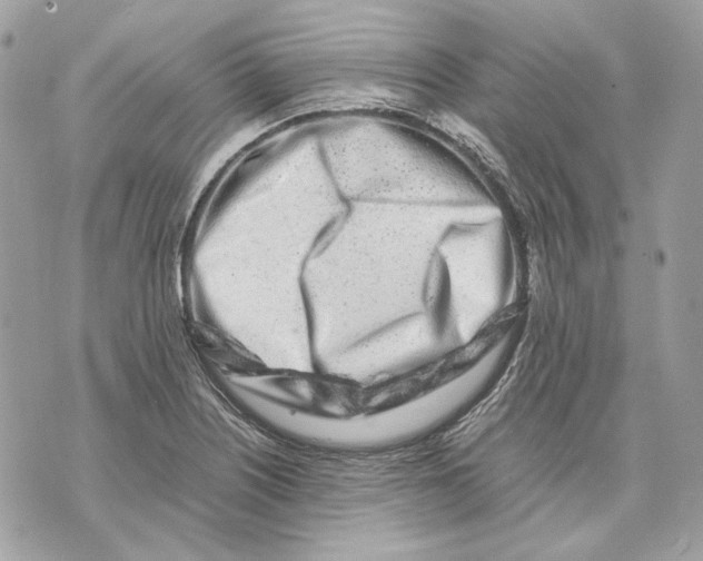 X0000070211226200606161633