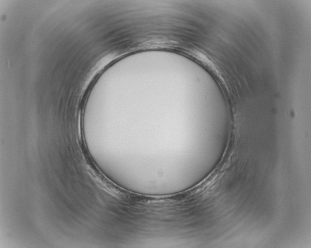 X0000070211227200606161633