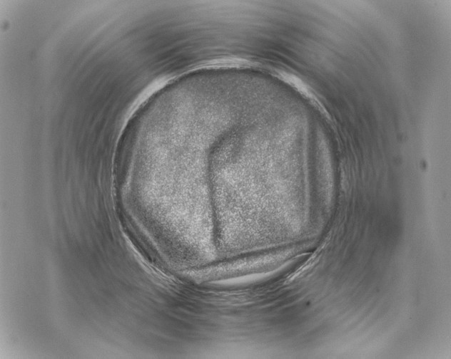 X0000070211229200606161633