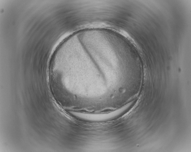 X0000070211232200606161633