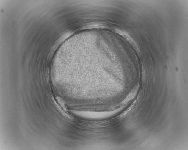 X0000070211233200606161633