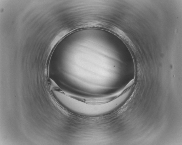 X0000070211234200606161633