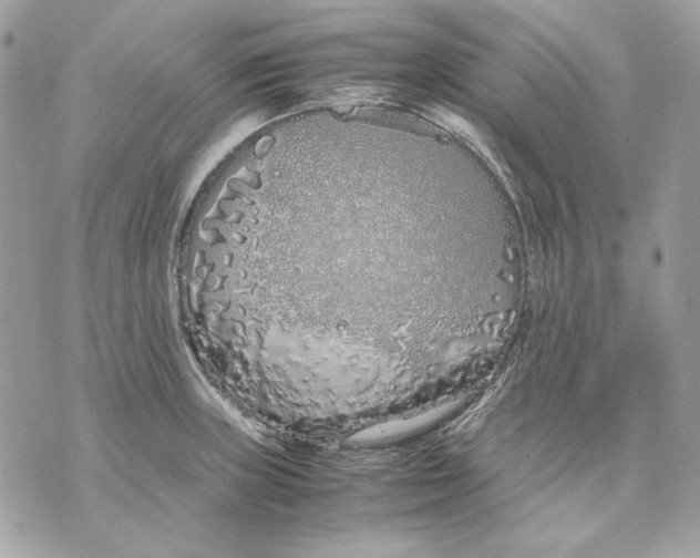 X0000070211235200606161633