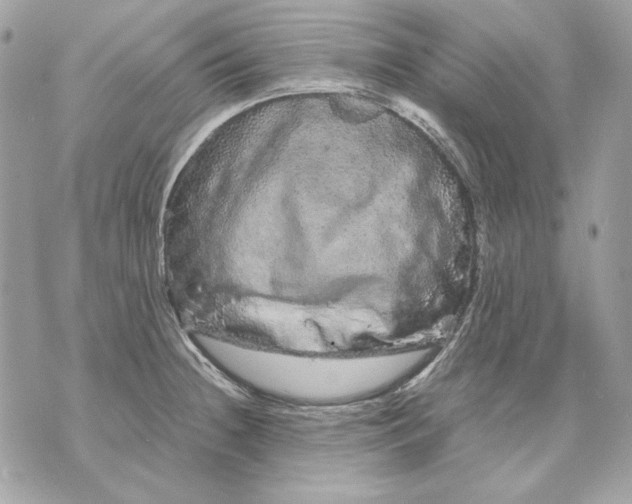 X0000070211236200606161633