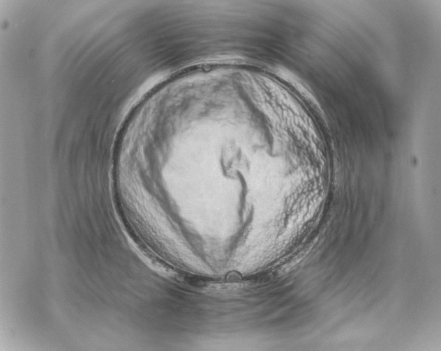 X0000070211237200606161633