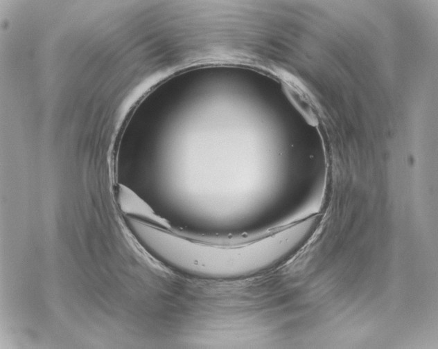 X0000070211238200606161633