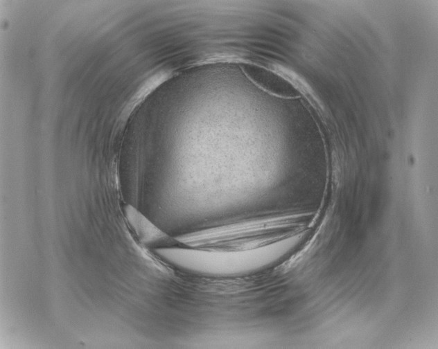 X0000070211241200606161633