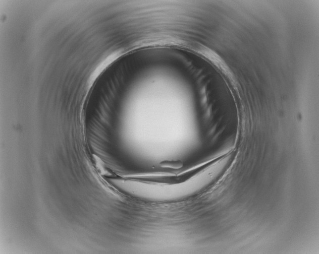 X0000070211242200606161633