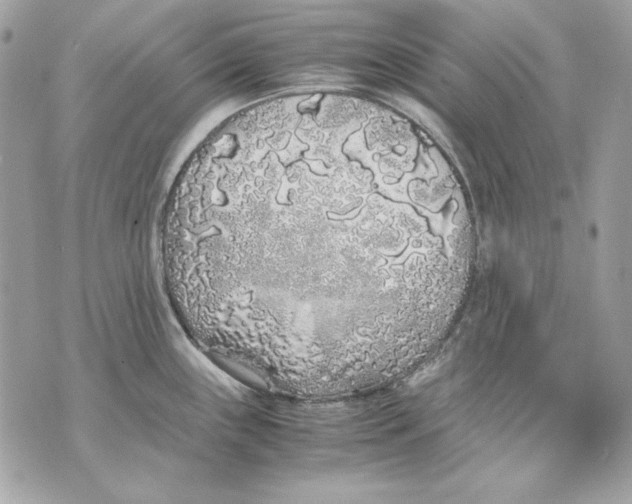 X0000070211243200606161633