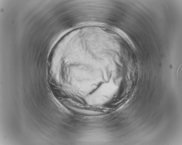 X0000070211244200606161633