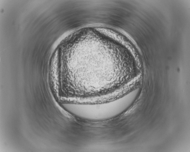 X0000070211245200606161633