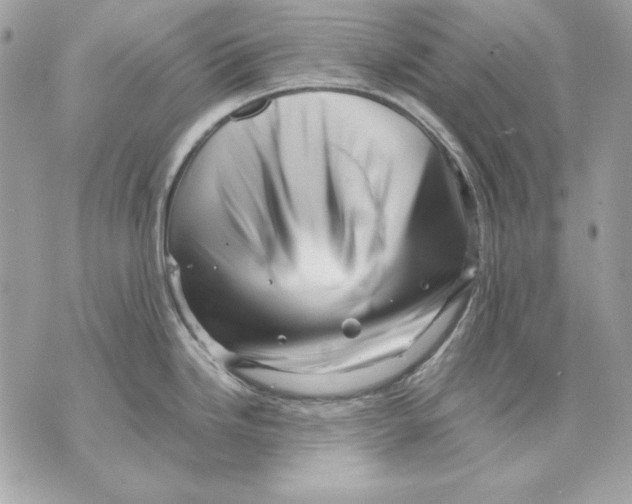 X0000070211246200606161633