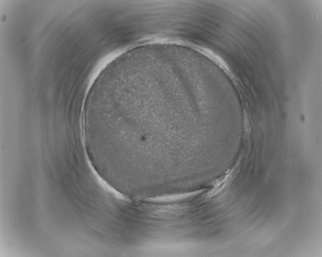 X0000070211247200606161633