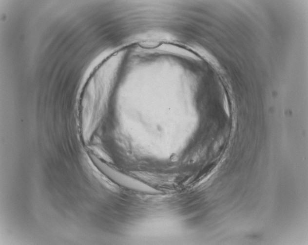 X0000070211248200606161633