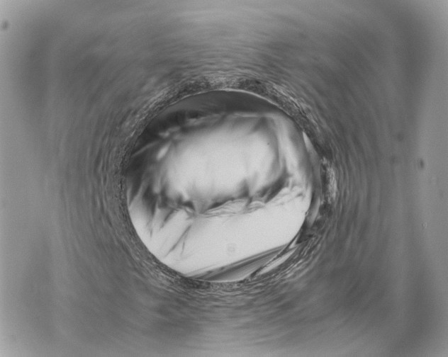 X0000070211249200606161633