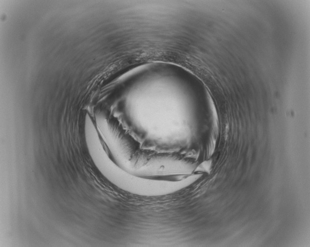 X0000070211250200606161633