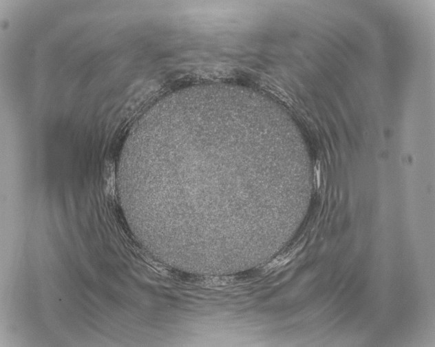 X0000070211251200606161633