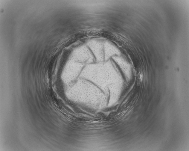 X0000070211252200606161633