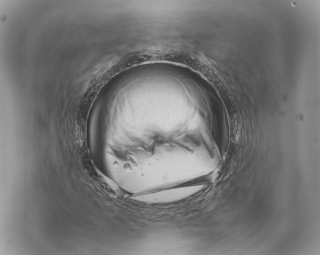 X0000070211253200606161633