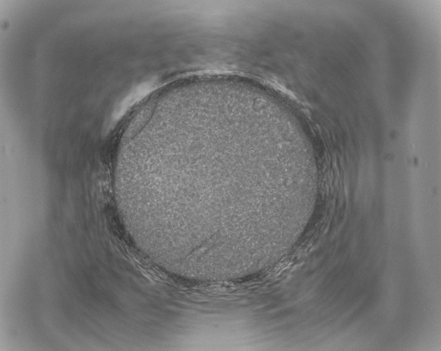 X0000070211255200606161633