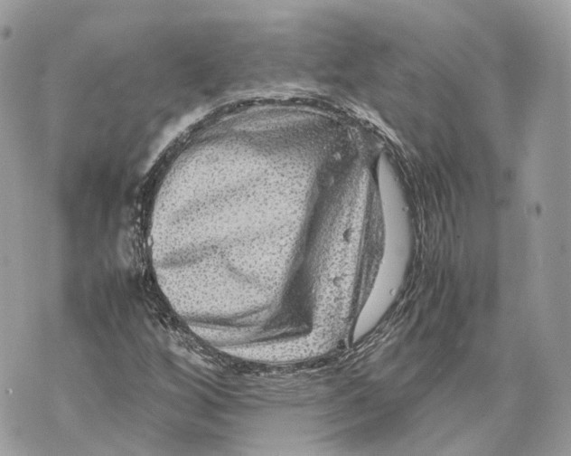 X0000070211256200606161633