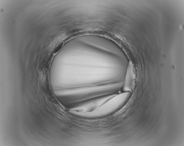 X0000070211257200606161633