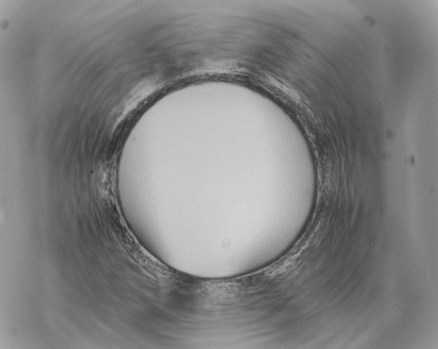 X0000070211258200606161632