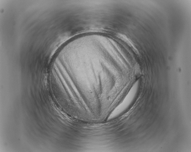 X0000070211260200606161632