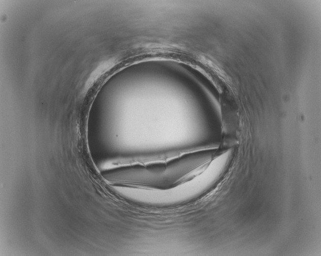 X0000070211261200606161632